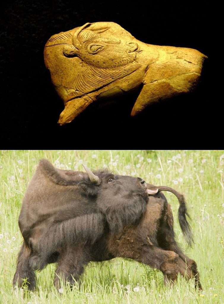 Awesome Pics Of Extinct Animals