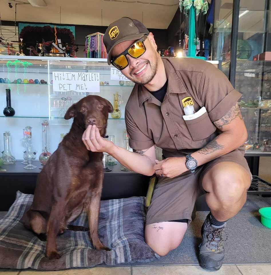 ups drivers made unexpected friendships with dogs