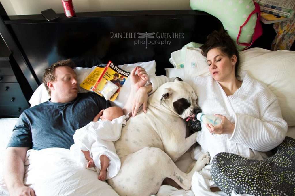 The True Chaos Of family photo