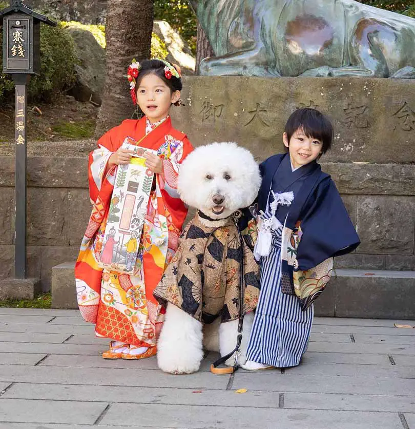 Japanese Girl And Her Poodle Share An Unbreakable Bond